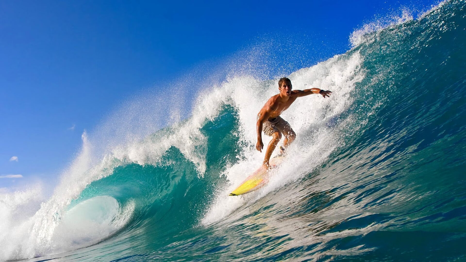 “2025新加坡世界游泳锦标赛：水上芭蕾给你带来惊艳演出”