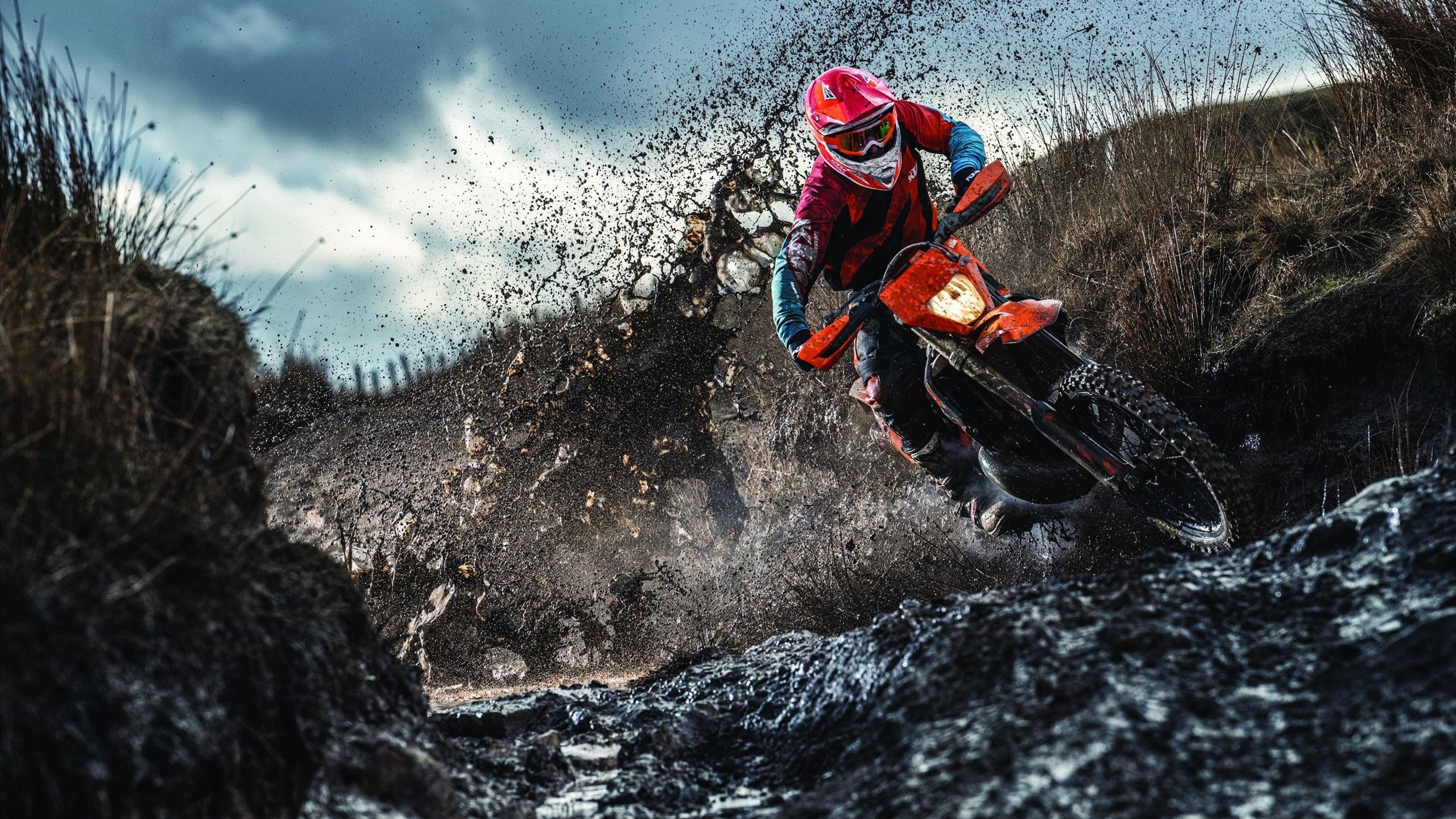 乐鱼体育app在线登录-青年运动员辅导机制加入职业规划辅导，青少年运动员培养